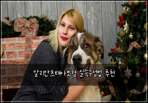 ์๋ฆฌ์์ธ ํ์๋ณดํ ์ค์๊ตฌ์ฑ๋ฒ ์ถ์ฒ