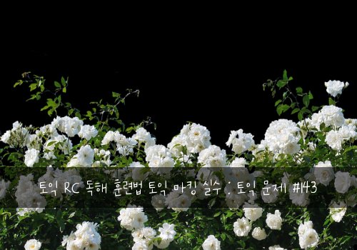 토익 RC 독해 훈련법 토익 마킹 실수 : 토익 문제 #143