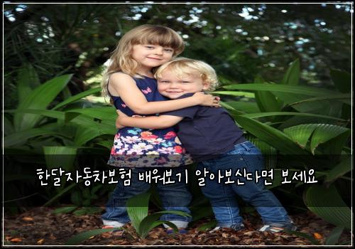 한달자동차보험 배워보기  알아보신다면 보세요