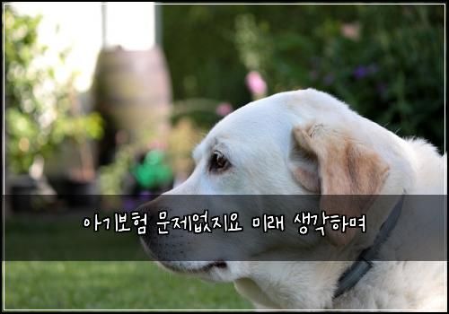 아기보험 문제없지요  미래 생각하며