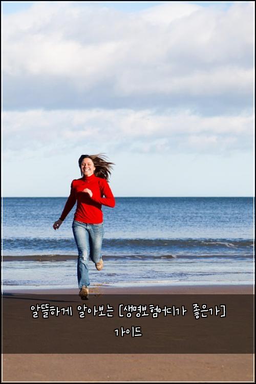 알뜰하게 알아보는 [생명보험어디가 좋은가] 가이드