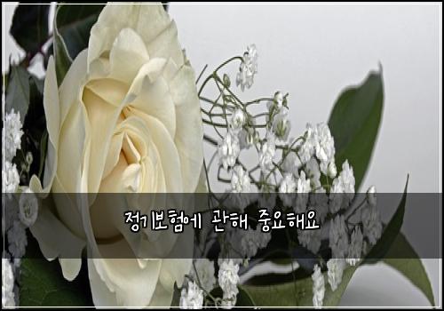 ์ ๊ธฐ๋ณดํ์ ๊ดํด ์ค์ํด์