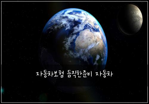 자동차보험 듬직한준비  자동차