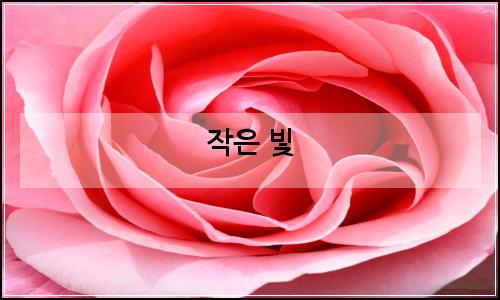 오늘의 이미지