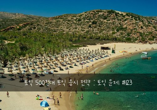 토익 500점대 토익 응시 전략 : 토익 문제 #123