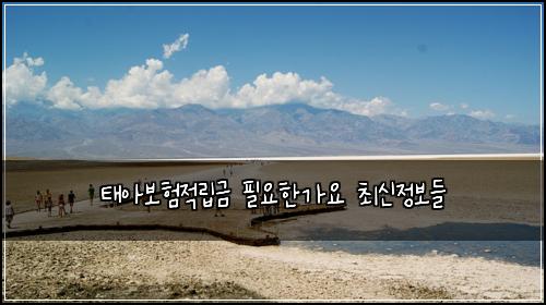 태아보험적립금 필요한가요 최신정보들