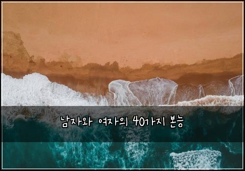 남자와 여자의 40가지 본능