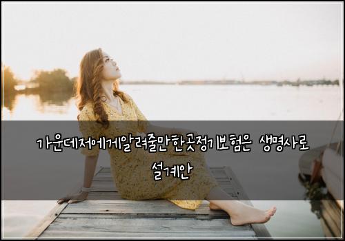 가운데저에게알려줄만한곳정기보험은 생명사로 설계안