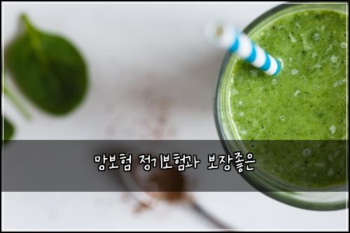 망보험 정기보험과 보장좋은