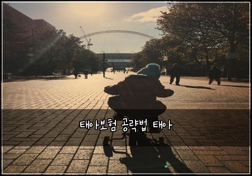 태아보험 공략법  태아