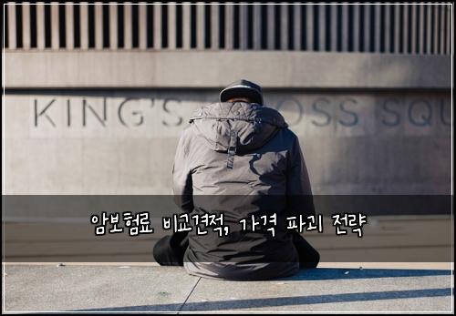 암보험료 비교견적, 가격 파괴 전략