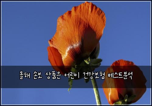 올해 손보 상품은 어린이 건강보험 베스트분석 