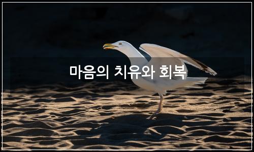 오늘의 이미지