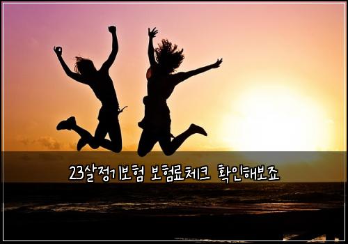 23살정기보험 보험료체크  확인해보죠
