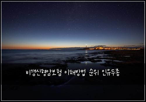 비갱신형암보험 이해방법  순위 인유두종