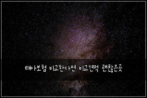 태아보험 비교한다면  비교견적 괜찮은곳