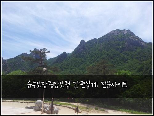 순수보장형암보험 간편설계  전문사이트