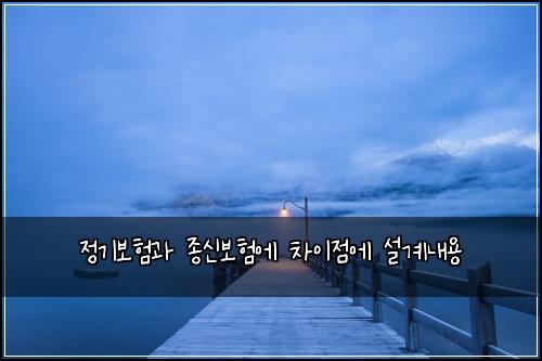 정기보험과 종신보험에 차이점에 설계내용