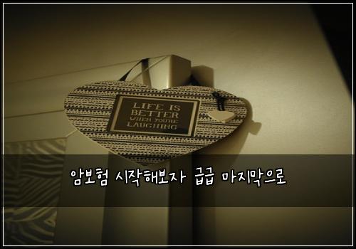 ์๋ณดํ ์์ํด๋ณด์ ๊ธ๊ธ ๋ง์ง๋ง์ผ๋ก