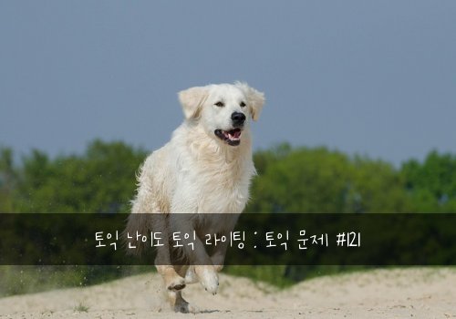 토익 난이도 토익 라이팅 : 토익 문제 #121