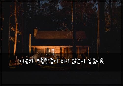 자동차 보험할증이 되지 않는지 상품내용