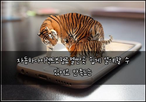 자동차다이렉트보험료젤싼곳 쉽게 설계할 수 있어요 만족도는