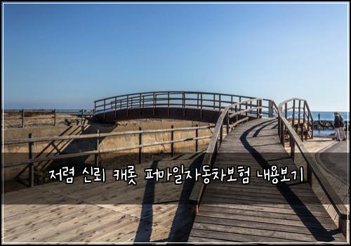 저렴 신뢰 캐롯 퍼마일자동차보험 내용보기 
