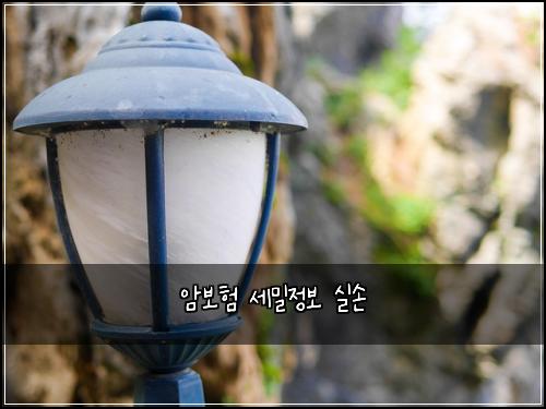암보험 세밀정보  실손