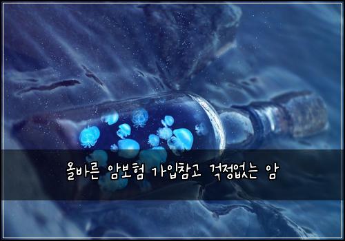 올바른 암보험 가입참고  걱정없는 암