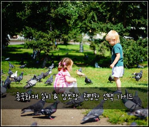 흥국화재 실비 & 암보장: 현명한 선택 가이드