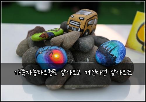 가족자동차보험료 알아보고 계신다면 알아보죠