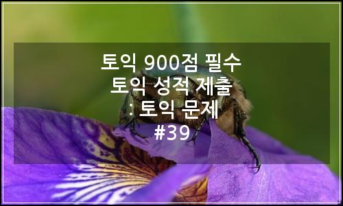 오늘의 이미지