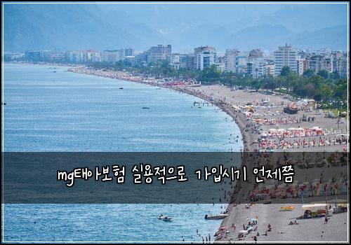 mgνμ보ν μ€μ©μ μΌλ‘ κ°μ
μκΈ° μΈμ μ―€