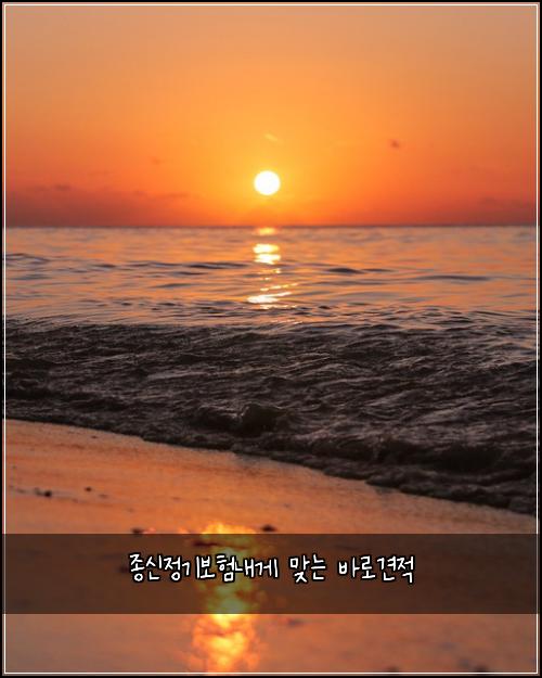 종신정기보험내게 맞는 바로견적