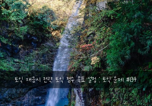 토익 재응시 전략 토익 점수 목표 설정 : 토익 문제 #134