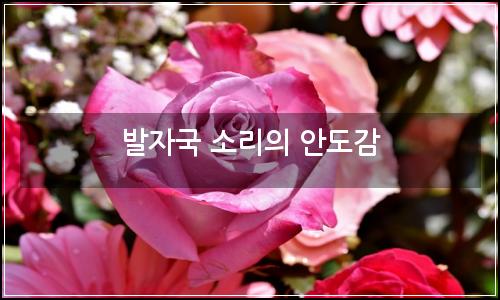 오늘의 이미지