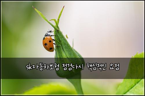 sk자동차보험 점검다시  핵심적인 요점