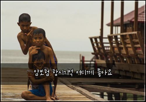 암보험 항시기억  어디께 좋아요