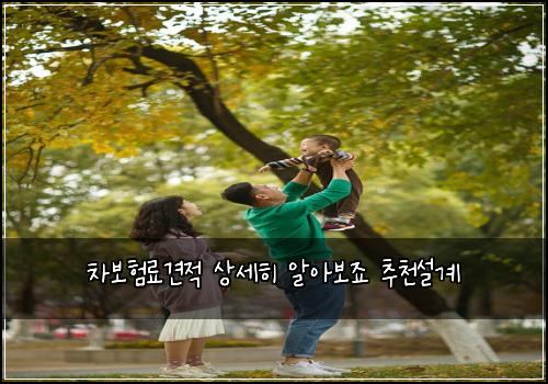 차보νλ£κ²¬μ μμΈν μμλ³΄μ£ μΆμ²μ€κ³