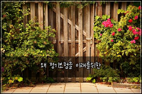 왜 정기보험을 미래를위한