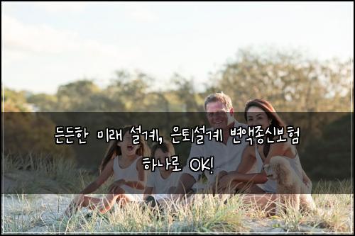  든든한 미래 설계, 은퇴설계 변액종신보험 하나로 OK!