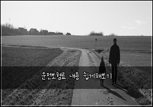 운전보험료 내용 쉽게해보기