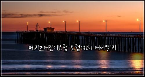 메리츠어린이보험 보험계의 어서빨리