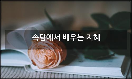 오늘의 이미지