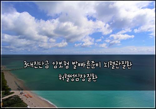 3대진단금 암보험 발빠른준비  뇌혈관질환 허혈성심장질환