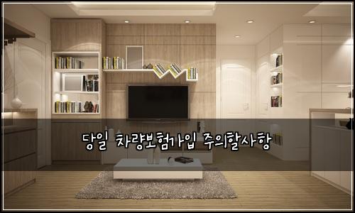 당일 차량보험가입 주의할사항