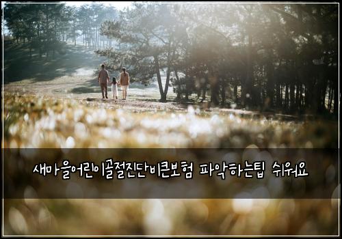 새마을어린이골절진단비큰보험 파악하는팁  쉬워요