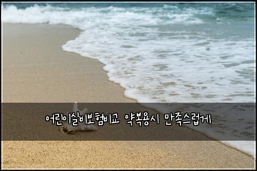 어린이실비보험비교 약복용시 만족스럽게
