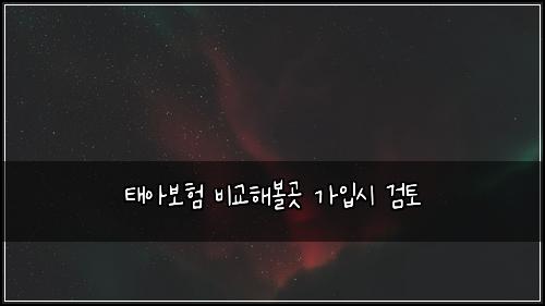태아보험 비교해볼곳  가입시 검토