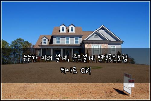  든든한 미래 설계, 은퇴설계 변액종신보험 하나로 OK!